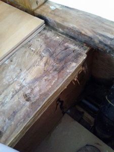 911 Restoration Water Damage San Jose