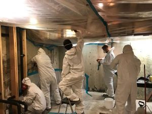 911 Restoration Mold Removal San Jose